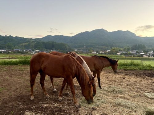 916E1833-6CB6-449D-A60D-9B5E4F8D6CF0