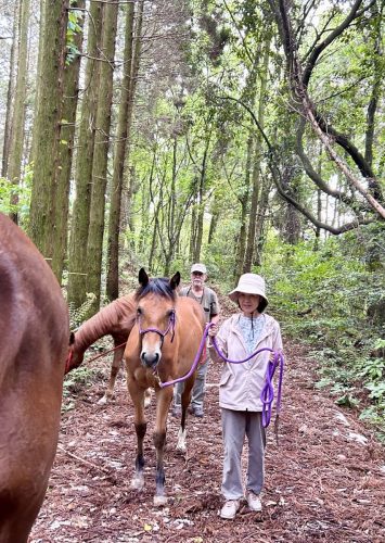 9599E635-A3DA-460E-B60B-D77F296EDD30