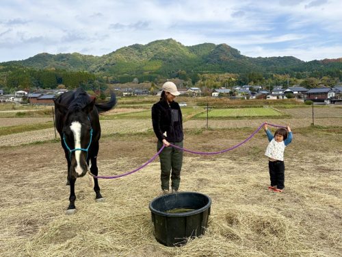 ABE017C8-991E-40D2-90DC-06A15317F0D6