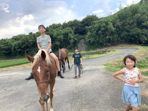 BA5A3F31-0386-471B-8C5A-635C6AE89B0D