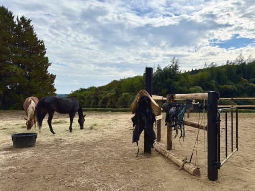 C4724A93-D9EB-42D2-BE67-BC9560ECA87C