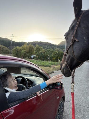 CE3B5A55-C573-4500-9D79-15034E8ABB50