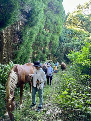 D16EFC35-2A9B-43CE-BEFA-E3F2890F95C5