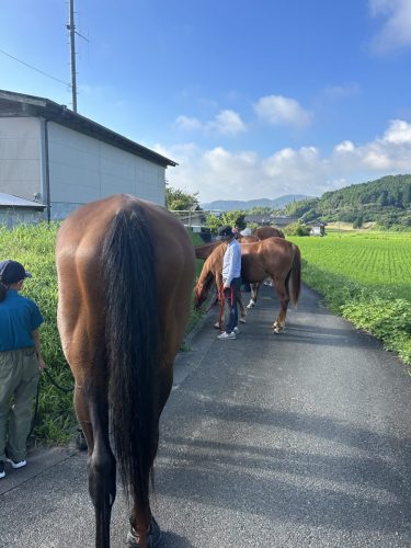 D9968ED1-2DEE-495D-B3FB-80F4509FC353