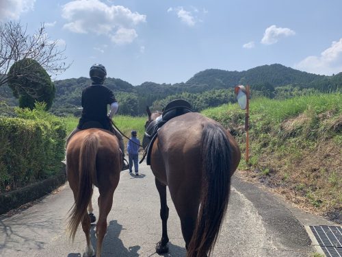 DEC43FF6-E4C3-4D40-94A2-7EDB66B5156C