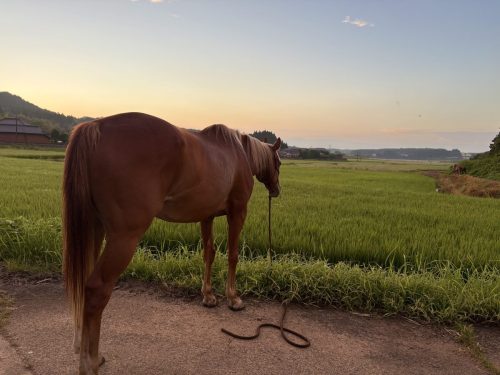 E31DD7D2-562F-4C9B-8ED8-ED9C4DF3E711