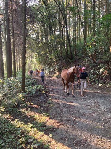 E35A476A-04E1-4589-B57E-36B8AD04B1C5