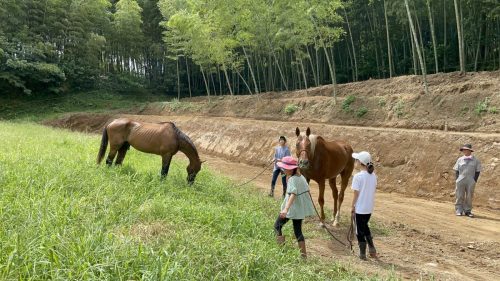 F4F16B94-6BCA-4D85-B68E-15135F2B88A7