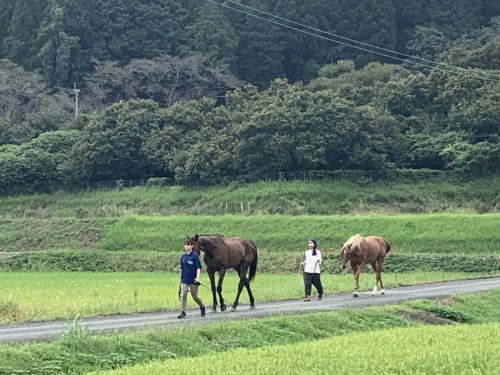 FCC11C7C-7203-404C-8FF4-47ACC57FDA2E