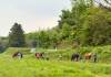 LINE_ALBUM_20260504_260507_48