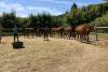 LINE_ALBUM_20260504_260507_8